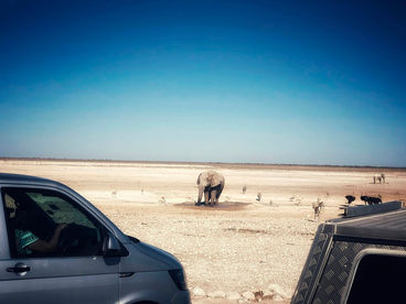 Этоша. Великая белая равнина