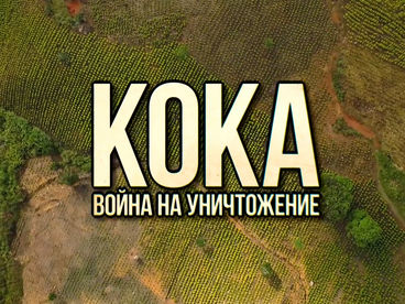 Кока. Война на уничтожение