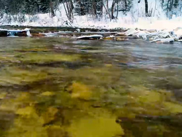 Река Сарва Река Сарва