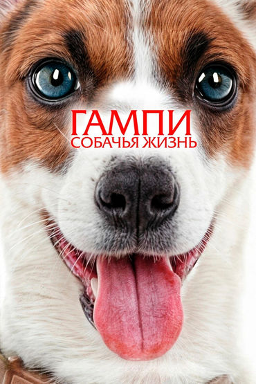 Гампи. Собачья жизнь