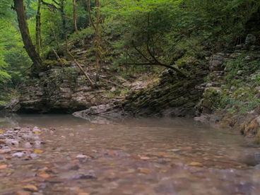 Каньон Реки Псахо Каньон Реки Псахо