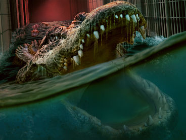 Наводнение