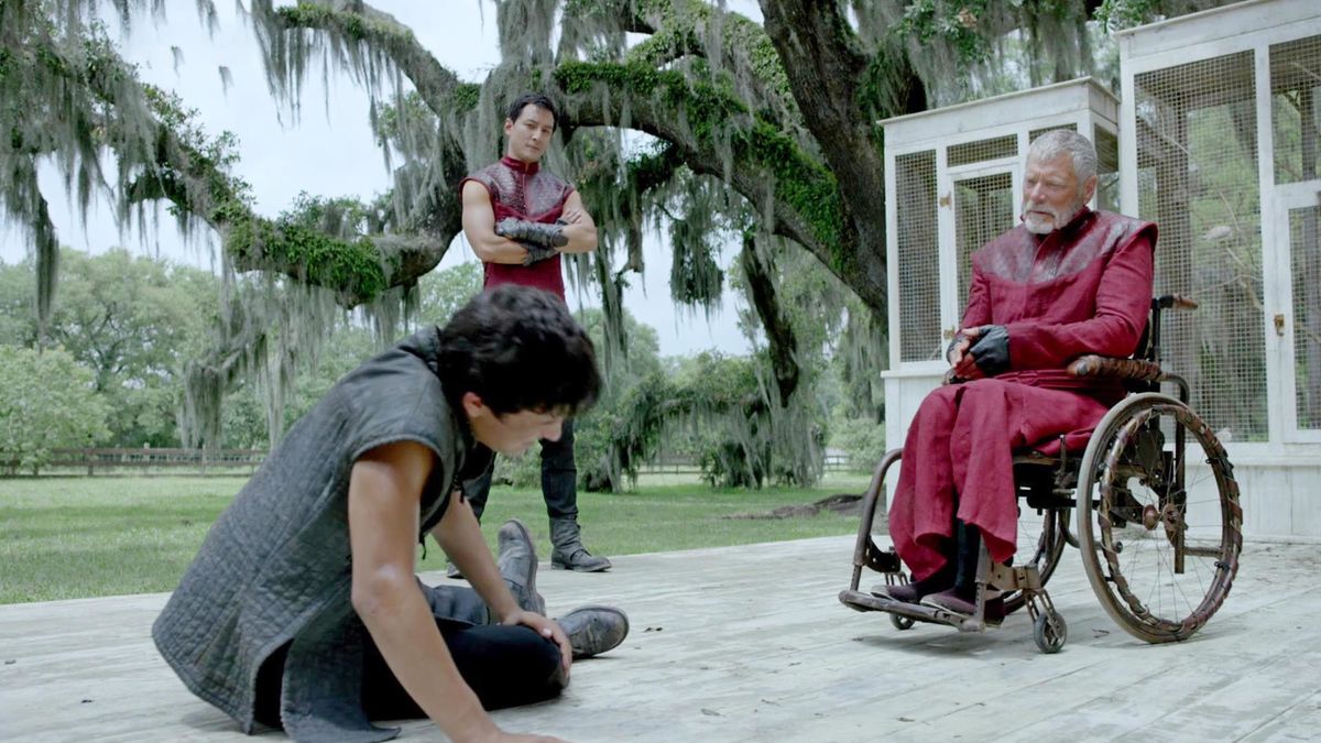 Белый аист расправляет крылья