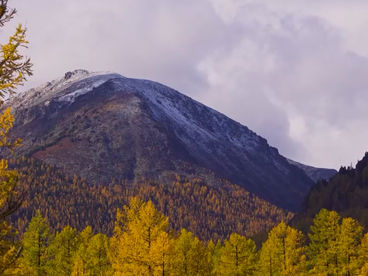 Долина реки Мульта Долина реки Мульта