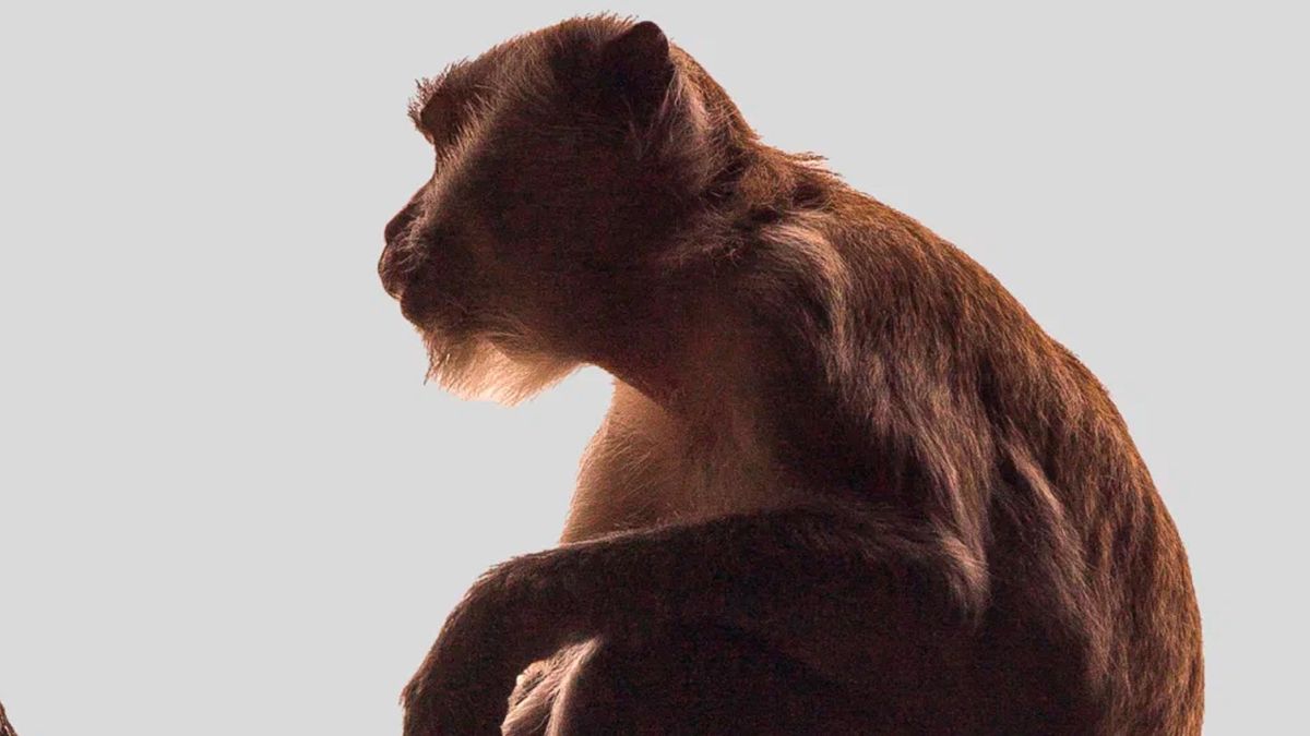 Королевство Солнца