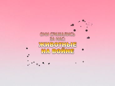 Д/Ф Д/Ф