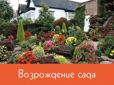 Возрождение сада