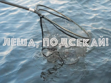 Лёша, подсекай! Лёша, подсекай!