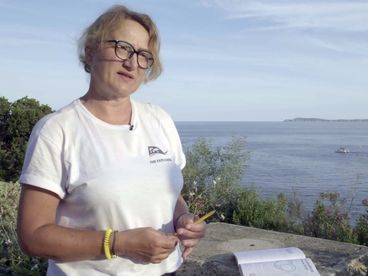 Путешествие по Франции. За кадром Путешествие по Франции. За кадром