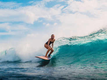Wild Surf