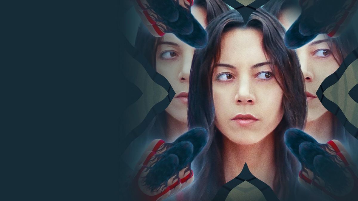 Чёрный медведь