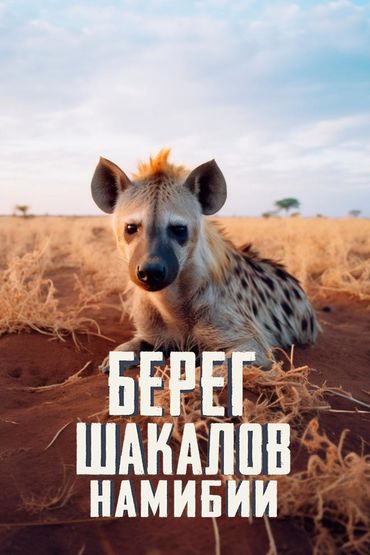 Берег шакалов Намибии