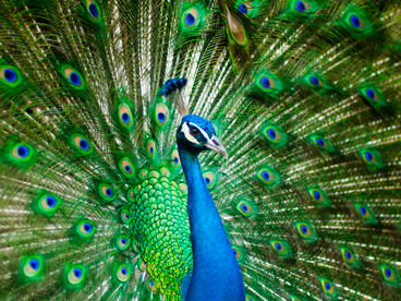 Заповедные места Заповедные места