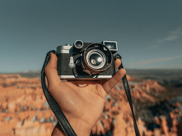 Цветущий сад