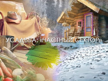 Частный сектор