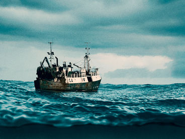 Морские паразиты