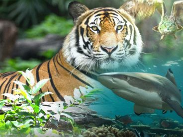 Гонка жизни Гонка жизни