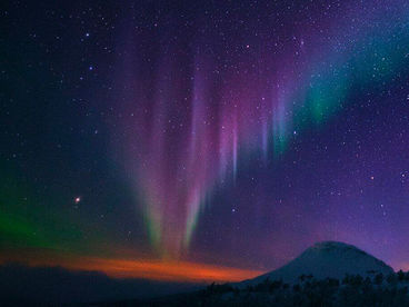 Дикая природа Лапландии Дикая природа Лапландии