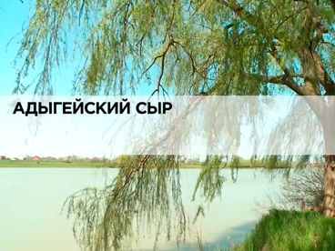 Адыгейский сыр Адыгейский сыр