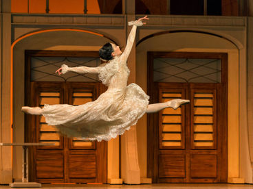 Тед Брандсен: Тед Брандсен: