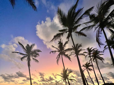 Вам бы там побывать! Вам бы там побывать!