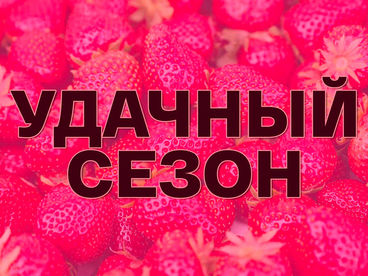 Удачный сезон Удачный сезон