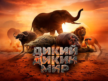 Дикий, дикий мир