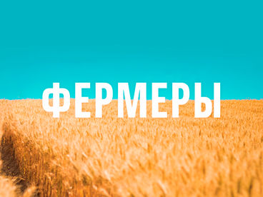 Фермеры Фермеры