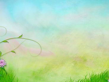 Удивительные судьбы животных Удивительные судьбы животных