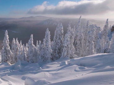 Бараньи лбы Бараньи лбы