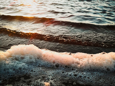 Белое море Белое море