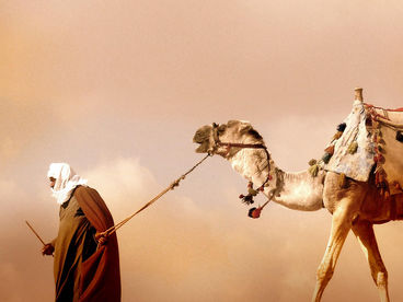 Животные, которые изменили историю Животные, которые изменили историю