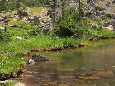 Озеро Таёжный Глаз Озеро Таёжный Глаз