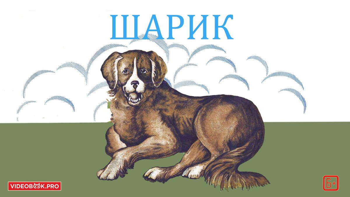 Шарик