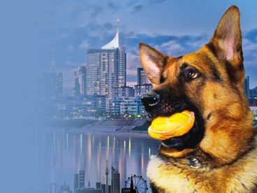 Комиссар Рекс Комиссар Рекс