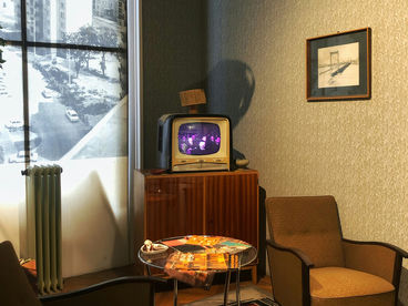 Лягушки на болоте Лягушки на болоте