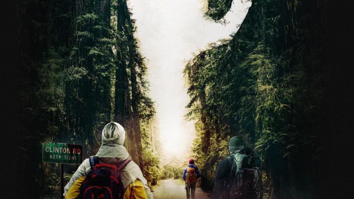 Дорога хаоса