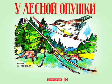 У лесной опушки