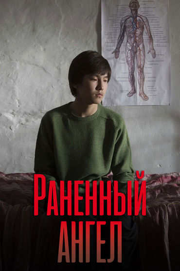 Кино для полуночников. Кино для полуночников.