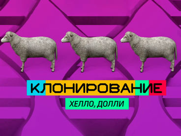Клонирование. Хелло, Долли Клонирование. Хелло, Долли