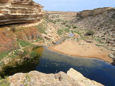 Урочище Саура Урочище Саура