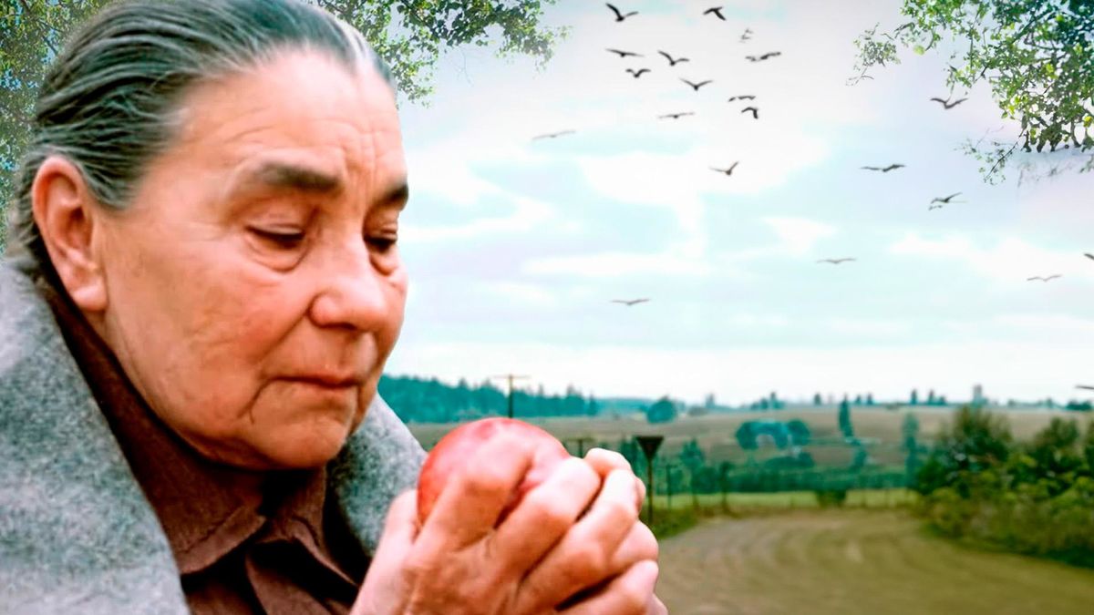 Деревья на асфальте