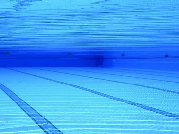 Чемпионат мира по водным видам спорта. 2025 Чемпионат мира по водным видам спорта. 2025