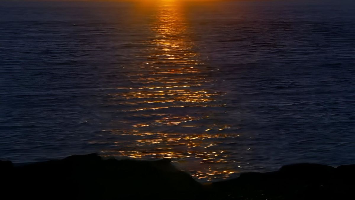 Татьяна Морозова - Королевство твоей любви