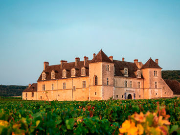 Бургундия Бургундия