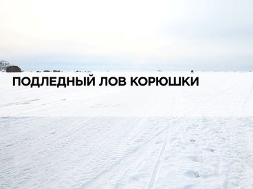 Подлёдный лов корюшки Подлёдный лов корюшки