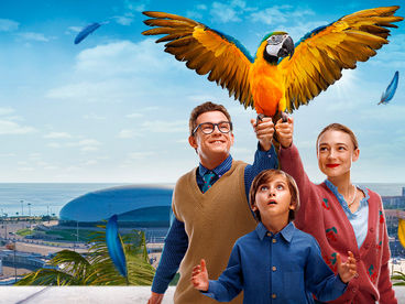 ВОЗВРАЩЕНИЕ ПОПУГАЯ КЕШИ