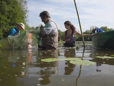 Рона: река жизни