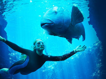 Друг в океане