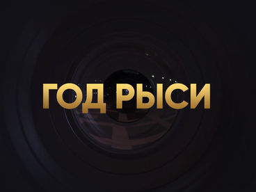 Год Рыси. Наталья Дьячкова Год Рыси. Наталья Дьячкова